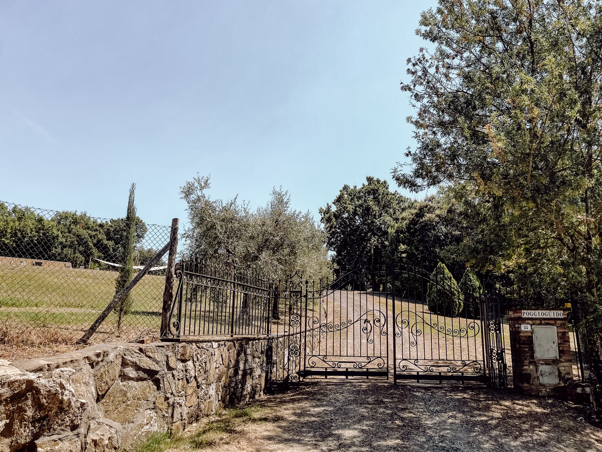 Poggio Guido Olivenbaum Olivenhain Toor