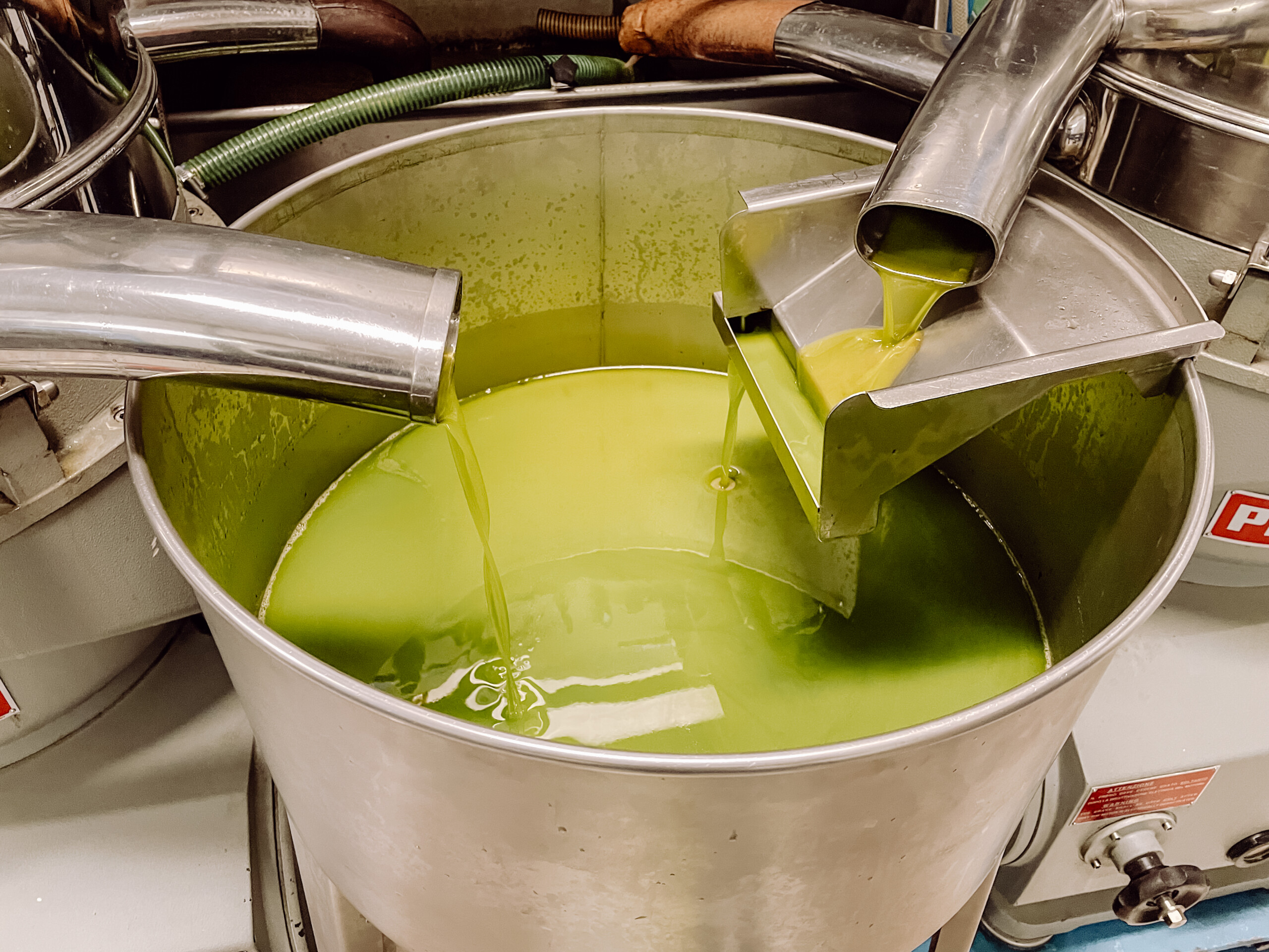 00045_IMG_0652 Poggio Guido Oillers Olivenernte