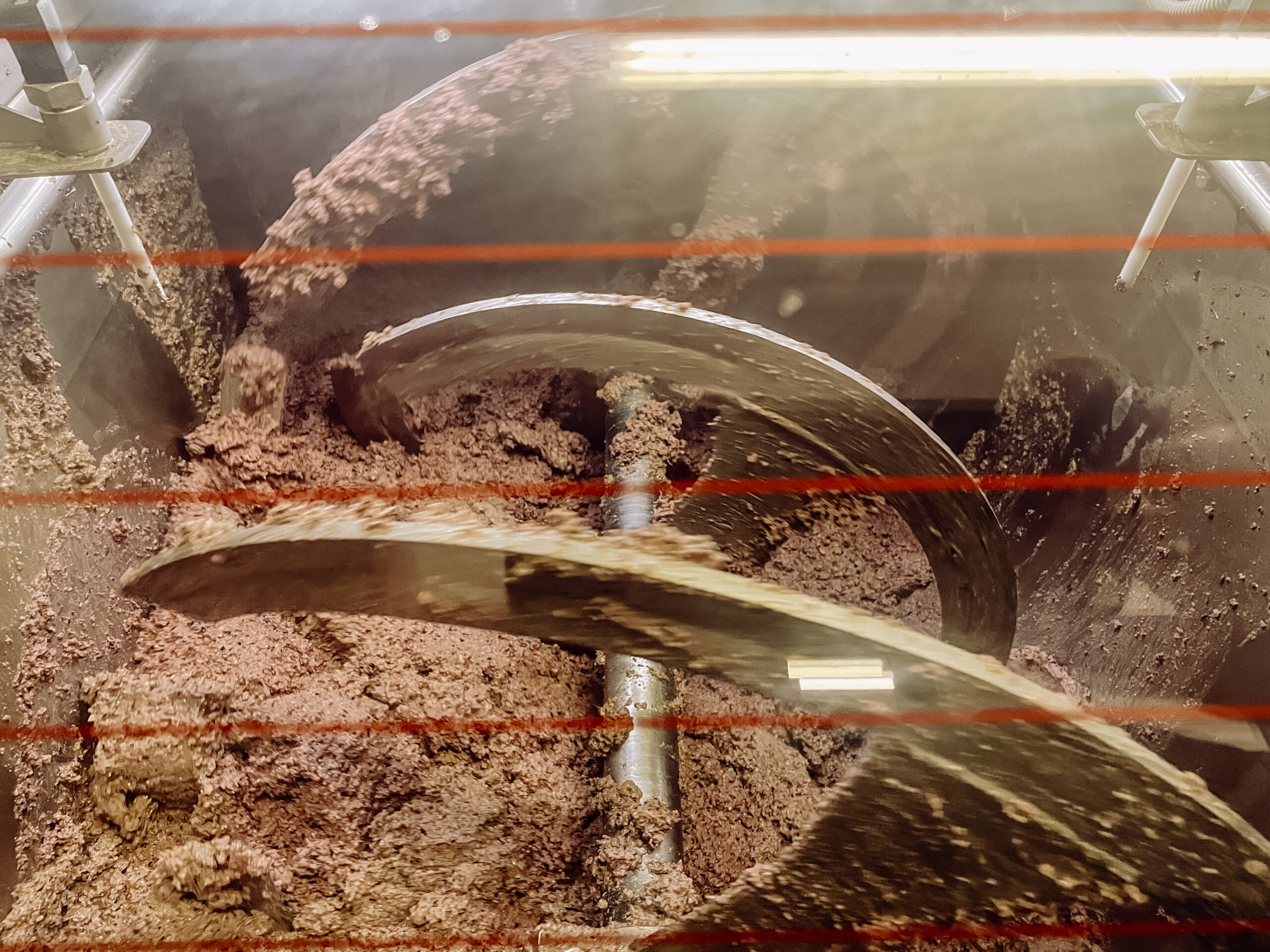 00048_IMG_0663 Poggio Guido Oillers Olivenernte