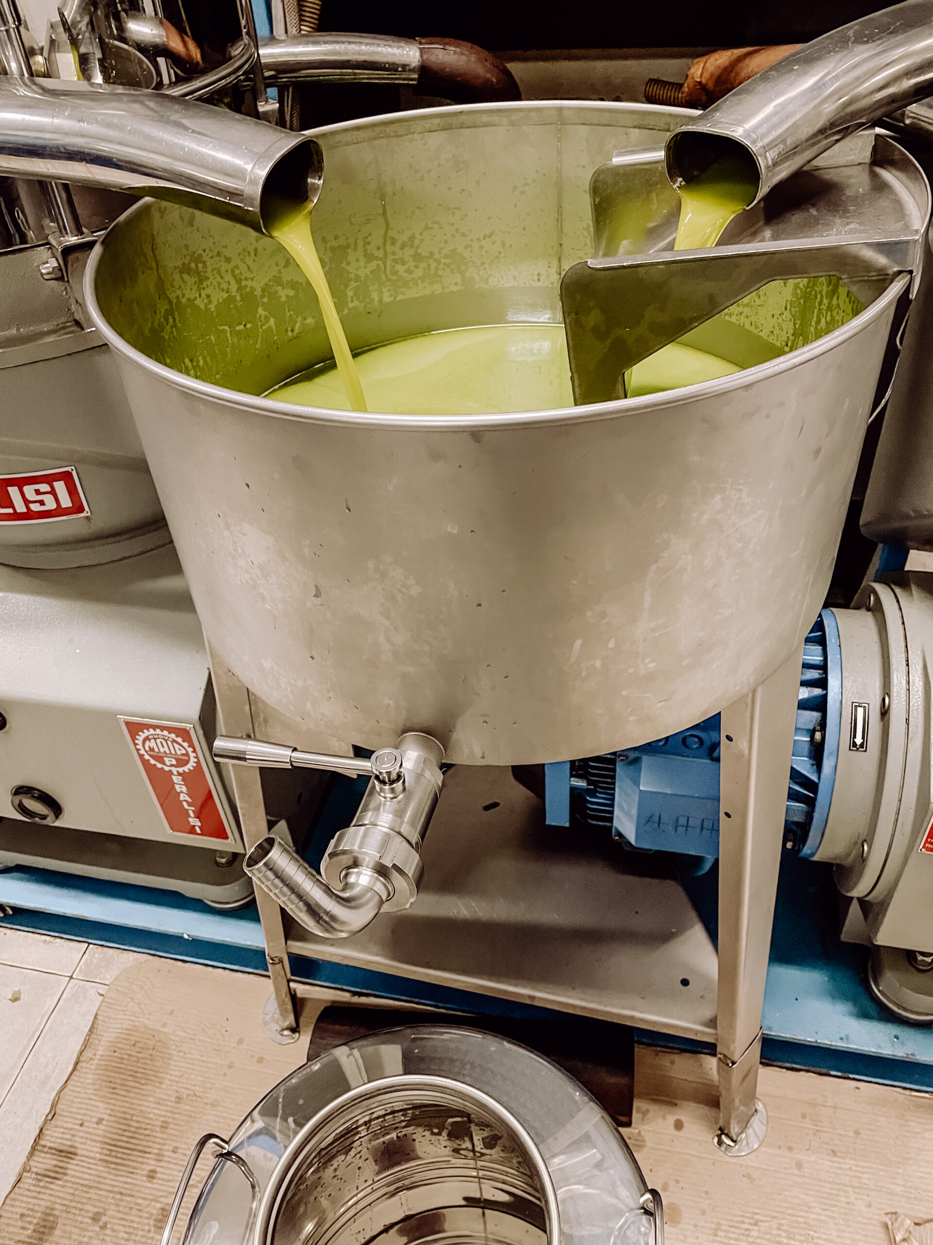 Poggio Guido Oillers Olivenernte