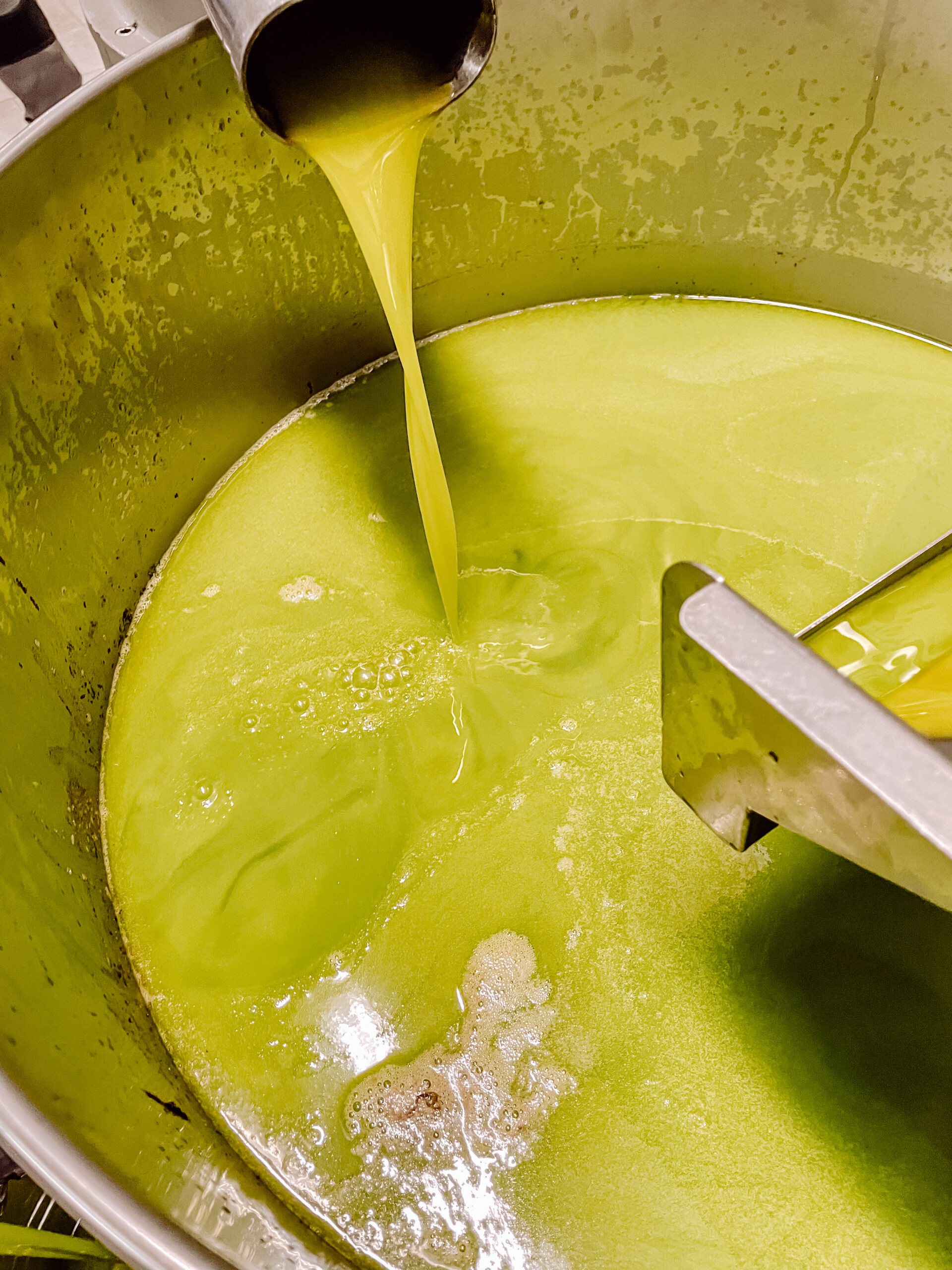 Poggio Guido Oillers Olivenernte