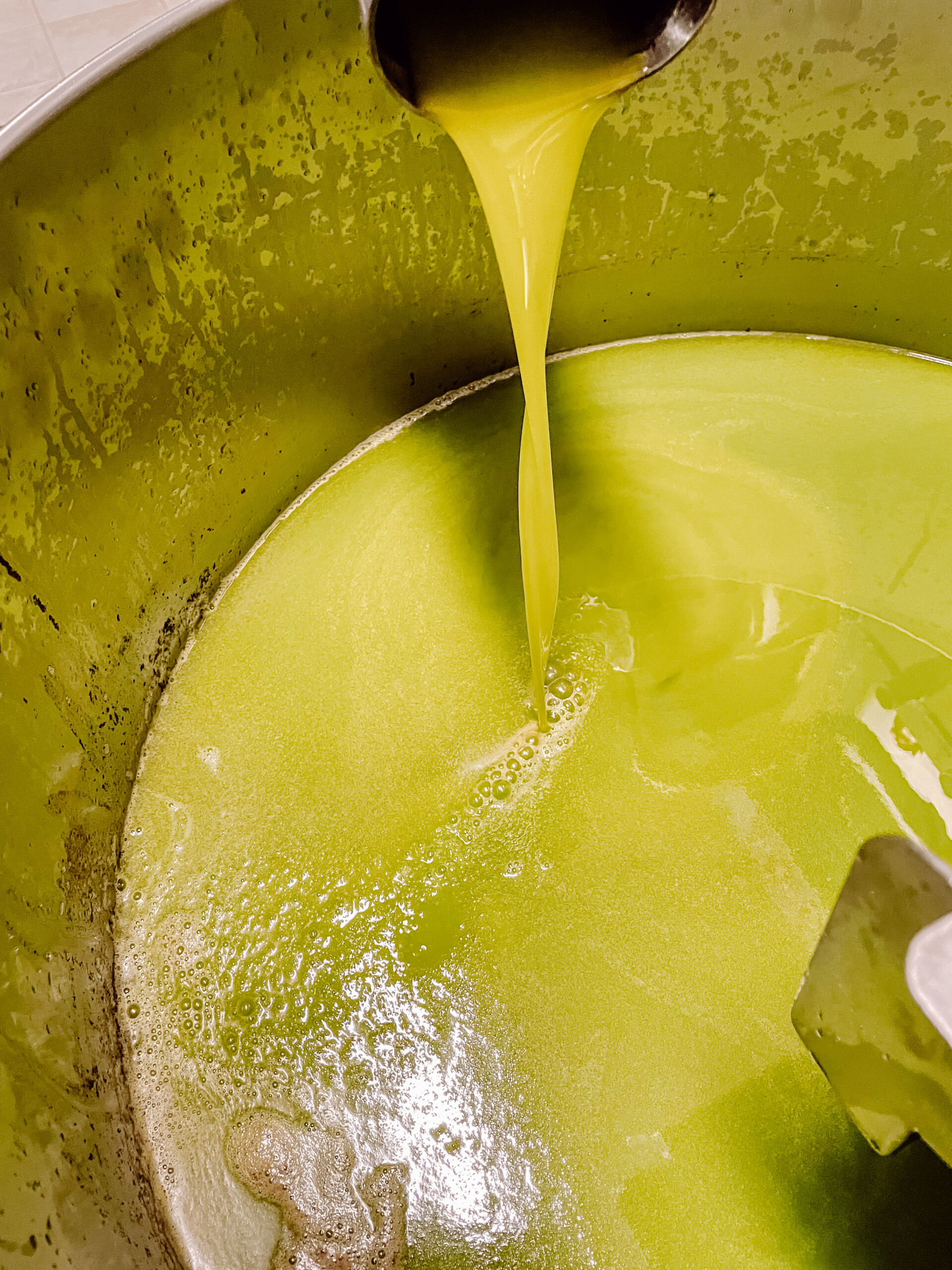 00051_IMG_0669 Poggio Guido Oillers Olivenernte