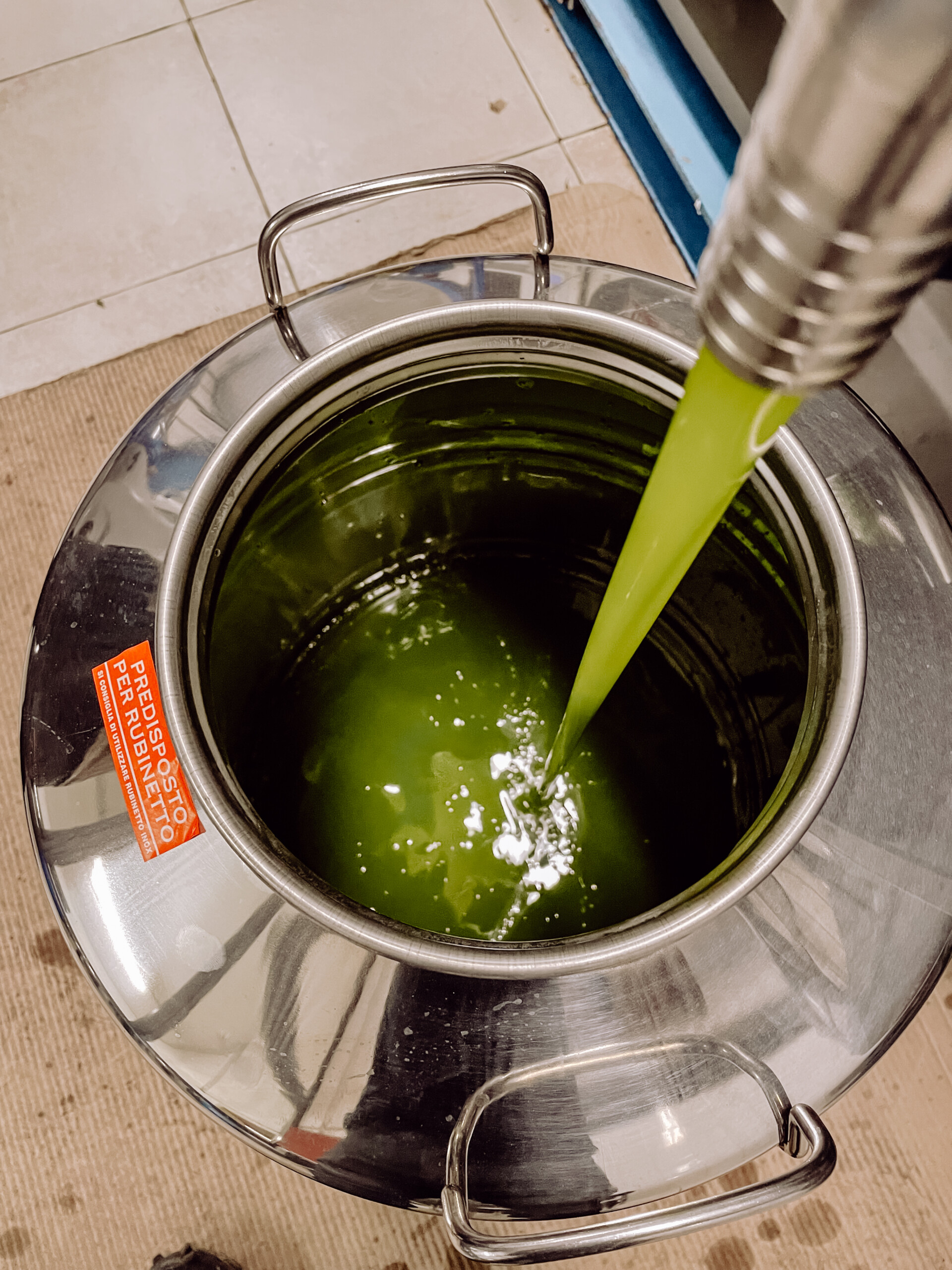 Poggio Guido Oillers Olivenernte