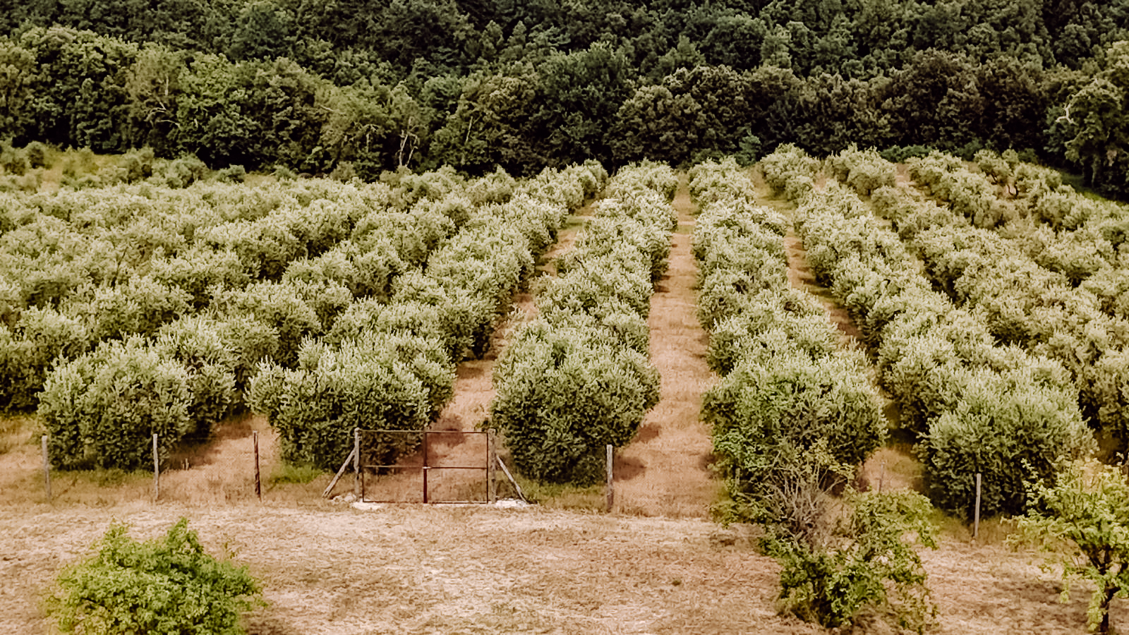 00054_b805968a-6f7a-4214-b8b5-b87c7d2af051